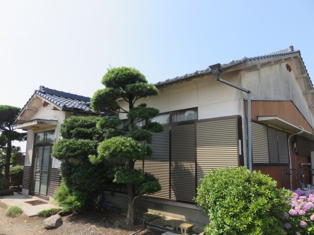 pic-800-600