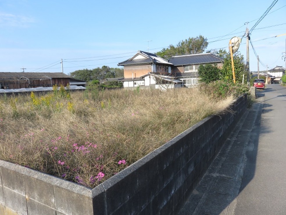 madori