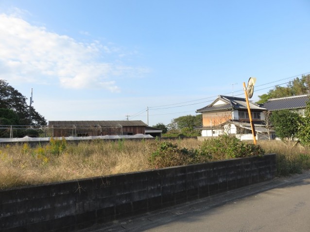 pic-800-600