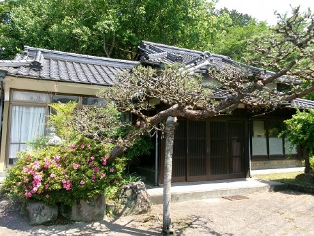 pic-800-600