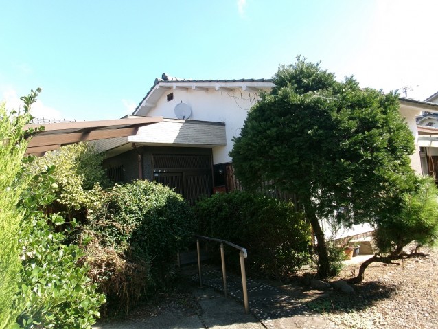 pic-800-600