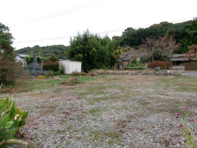 pic-800-600
