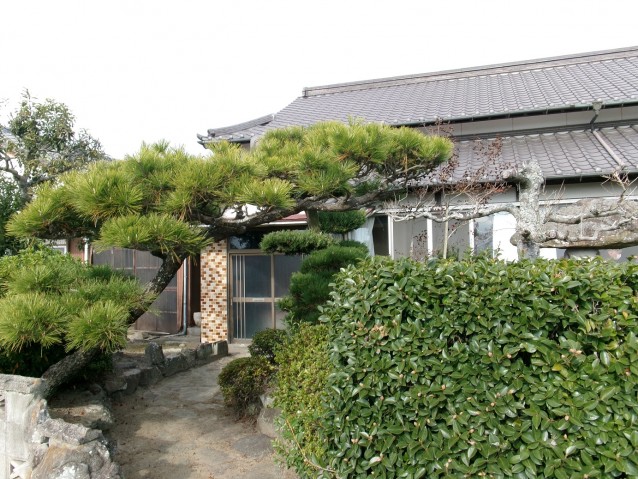 pic-800-600